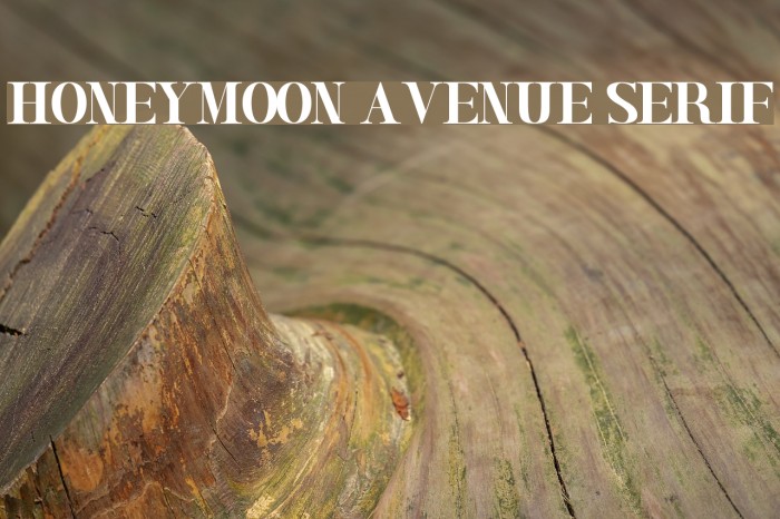 Honeymoon Avenue Serif Font examples