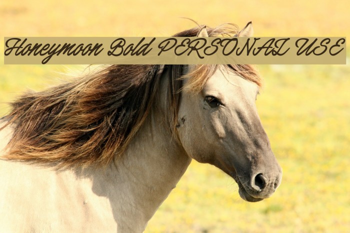 Honeymoon Bold PERSONAL USE Font examples