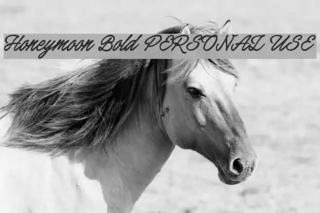 Honeymoon Bold PERSONAL USE Font examples