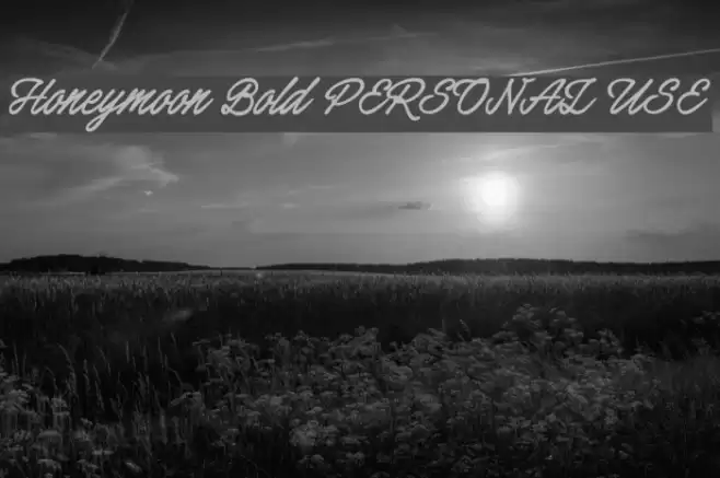 Honeymoon Bold PERSONAL USE Font examples