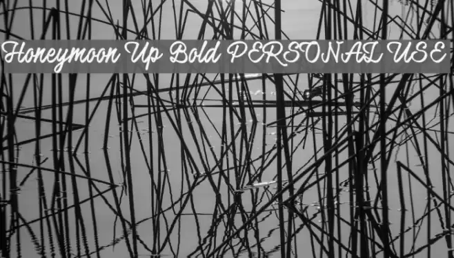 Honeymoon Up Bold PERSONAL USE Font examples