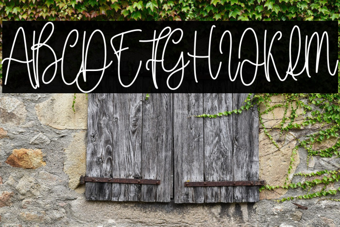 Honeymoon Vacation Example 2