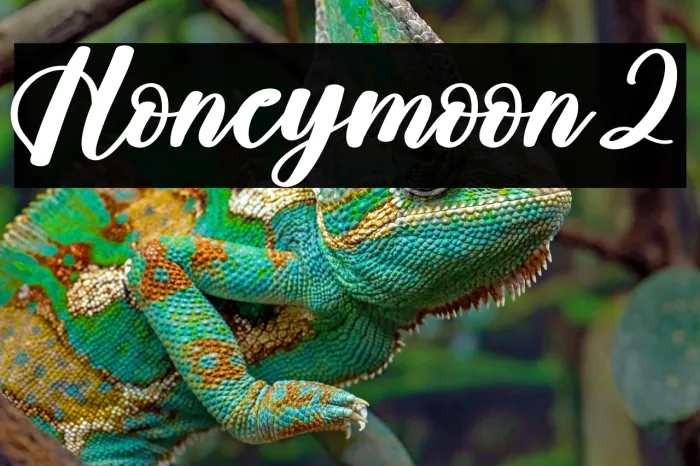 Honeymoon2 Example 3