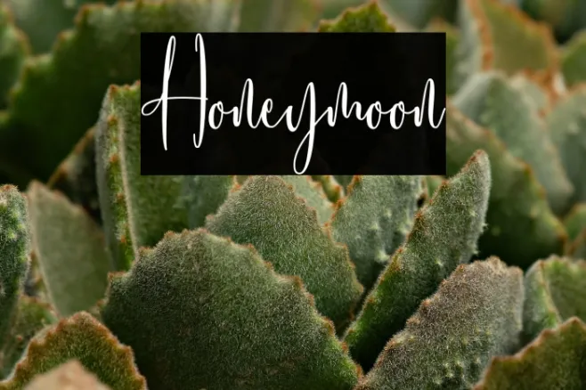 Honeymoon Example 1