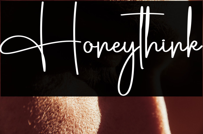 Honeythink Example 1