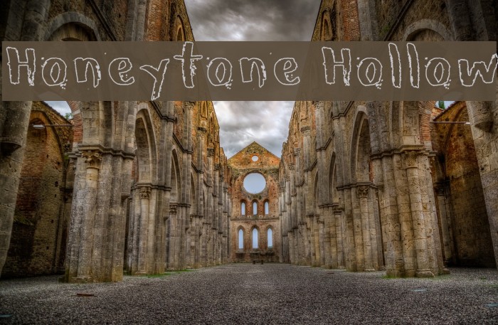 Honeytone Hollow Caratteri examples