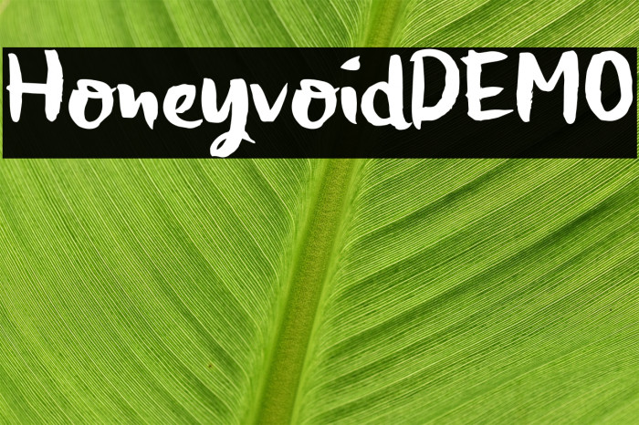 HoneyvoidDEMO Font examples