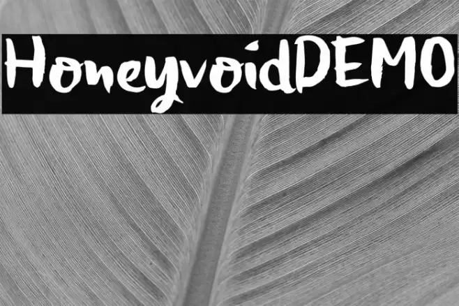 HoneyvoidDEMO Шрифта examples