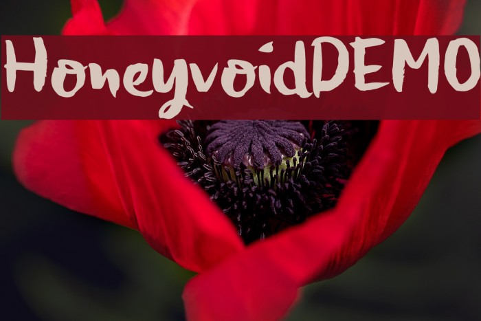 HoneyvoidDEMO Font examples