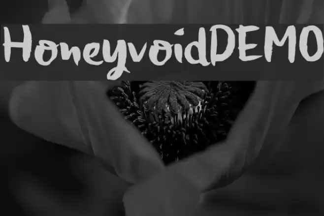 HoneyvoidDEMO Font examples