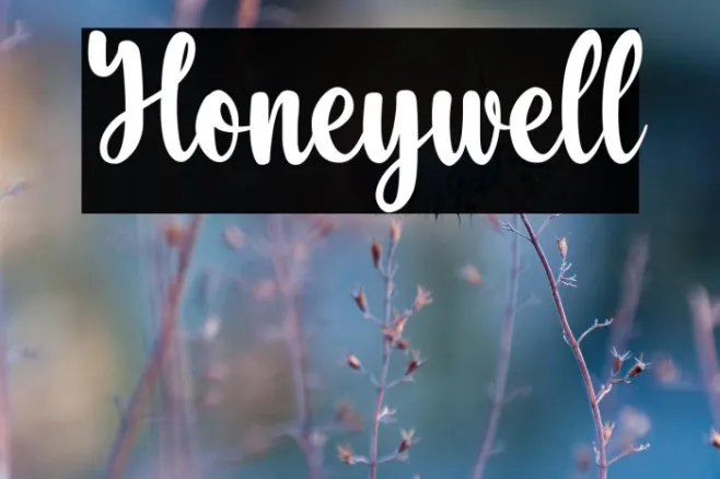 Honeywell Example 2