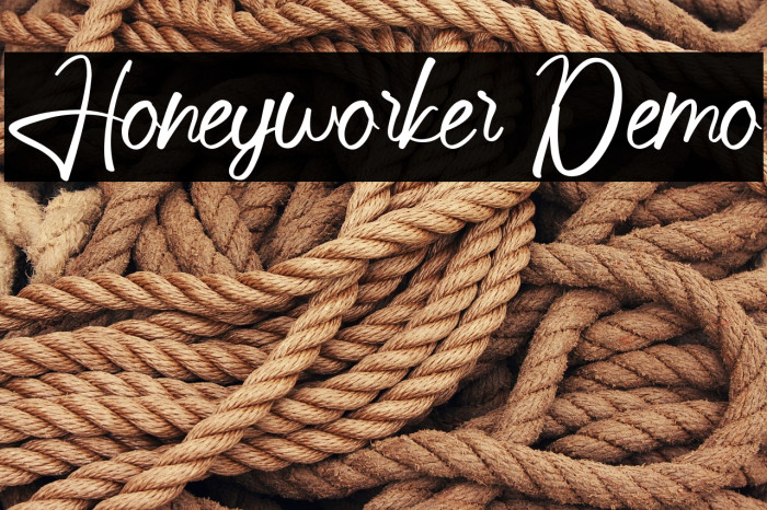 Honeyworker Demo Example 1