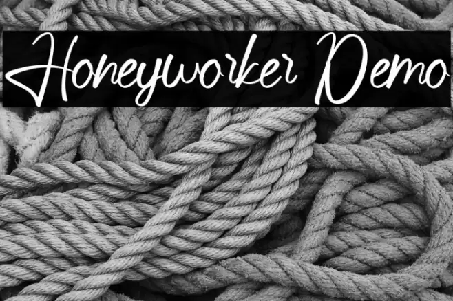 Honeyworker Demo フォント examples
