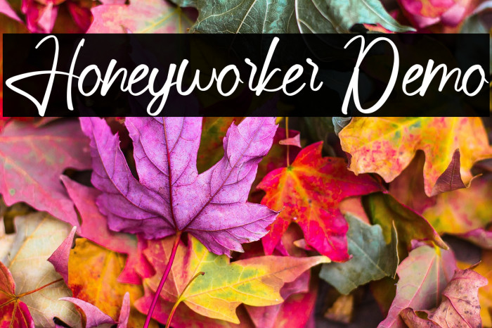 Honeyworker Demo Example 2