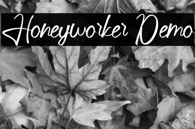 Honeyworker Demo フォント examples