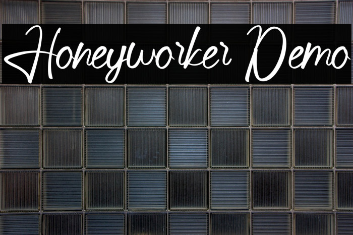 Honeyworker Demo Example 3
