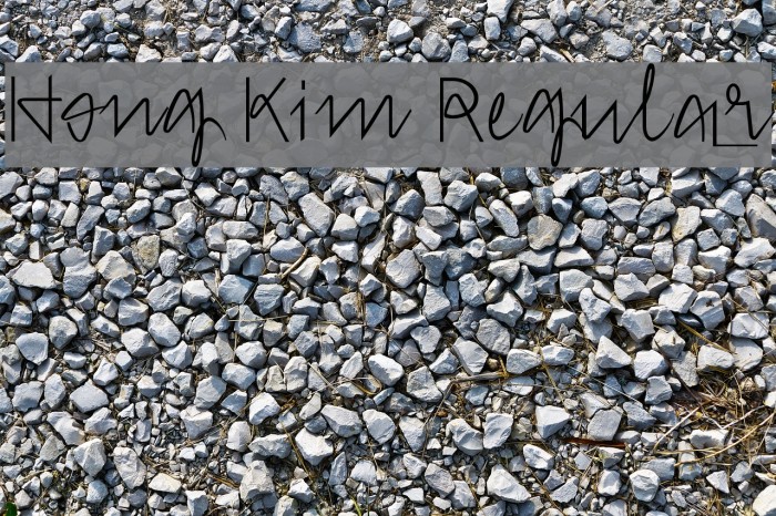 Hong Kim Regular Font examples
