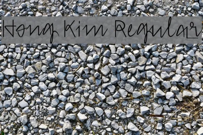 Hong Kim Regular Example 2