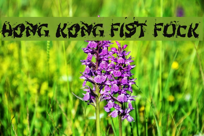 Hong Kong Fist Fuck Font examples