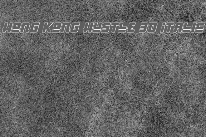 Hong Kong Hustle 3D Italic Font examples