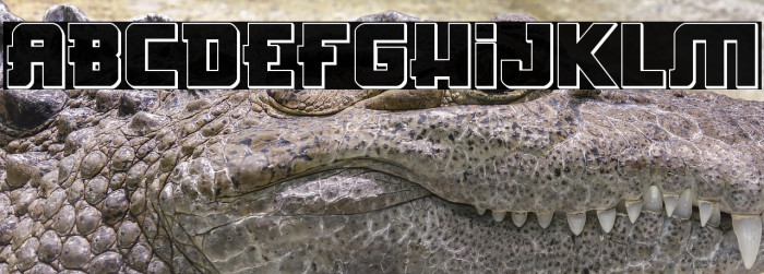 Hong Kong Hustle 3D Regular Example 2