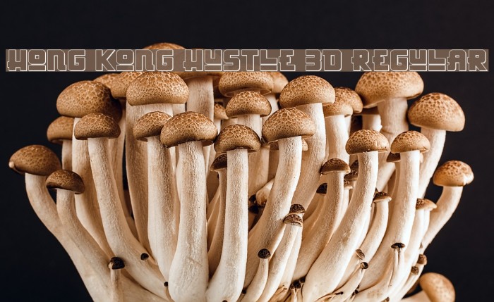 Hong Kong Hustle 3D Regular Font examples