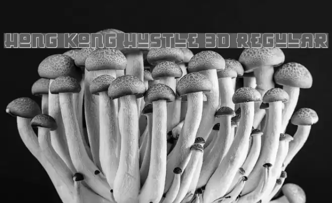Hong Kong Hustle 3D Regular Font examples