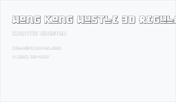 Hong Kong Hustle 3D Regular Business Card