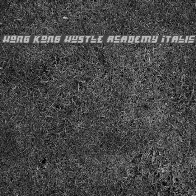 Hong Kong Hustle Academy Italic Font examples