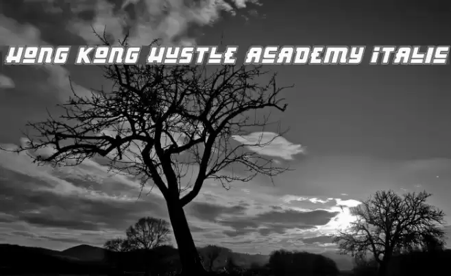 Hong Kong Hustle Academy Italic Font examples
