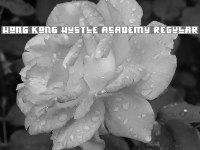 Hong Kong Hustle Academy Regular Font examples
