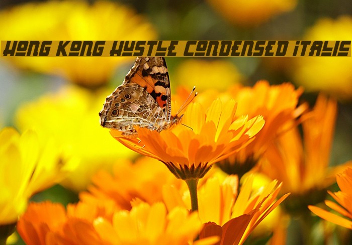 Hong Kong Hustle Condensed Italic Font examples