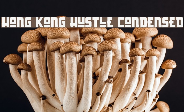 Hong Kong Hustle Condensed Example 1