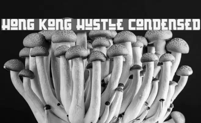 Hong Kong Hustle Condensed Font examples