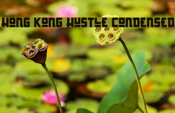 Hong Kong Hustle Condensed Example 2