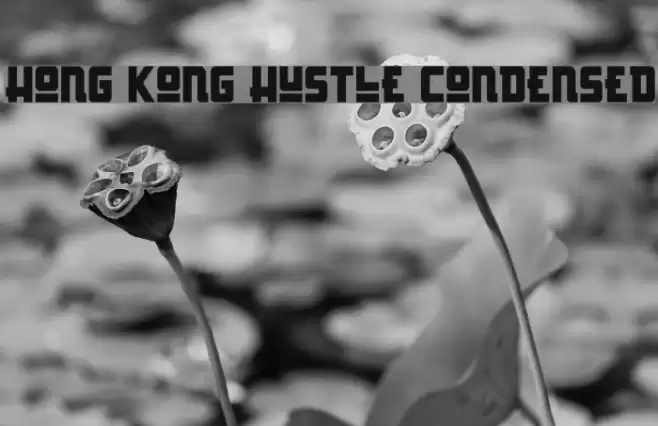 Hong Kong Hustle Condensed Font examples