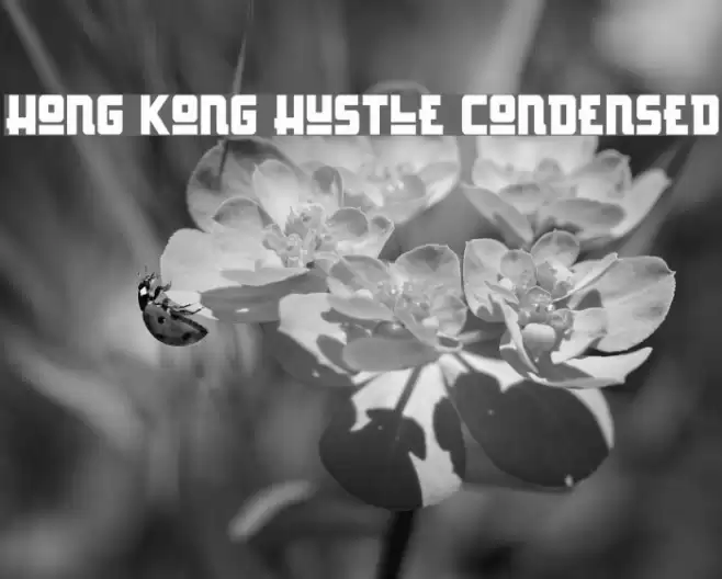 Hong Kong Hustle Condensed Font examples