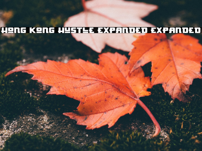 Hong Kong Hustle Expanded Expanded Example 1