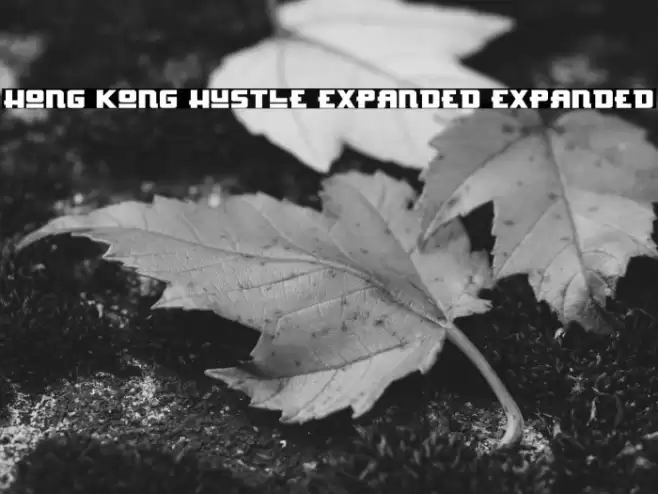 Hong Kong Hustle Expanded Expanded Font examples