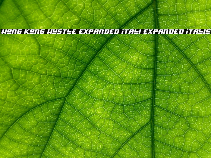 Hong Kong Hustle Expanded Itali Expanded Italic Example 1