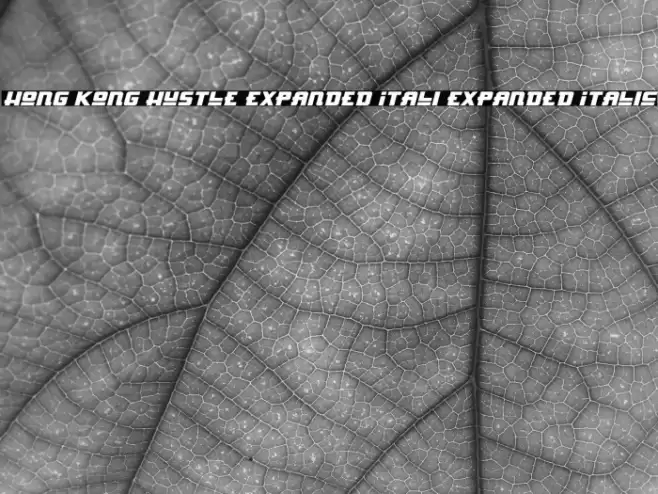 Hong Kong Hustle Expanded Itali Expanded Italic Font examples