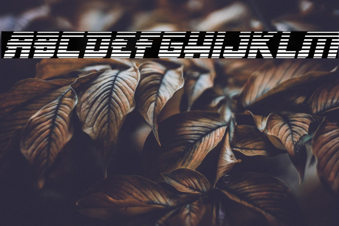 Hong Kong Hustle Gradient Italic Example 2