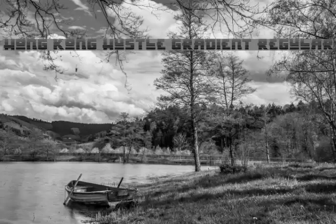 Hong Kong Hustle Gradient Regular Font examples