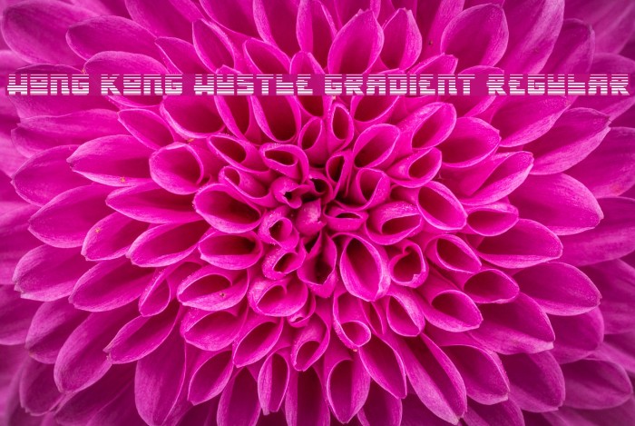 Hong Kong Hustle Gradient Regular Font examples