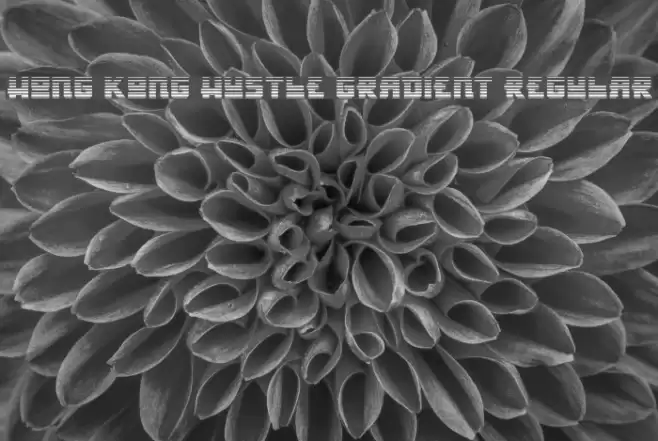 Hong Kong Hustle Gradient Regular Font examples