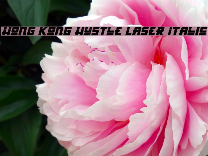 Hong Kong Hustle Laser Italic Font examples