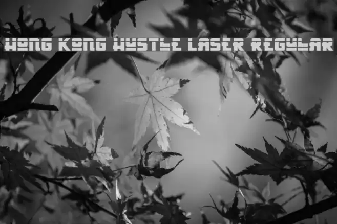 Hong Kong Hustle Laser Regular Font examples