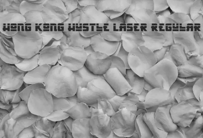 Hong Kong Hustle Laser Regular Font examples