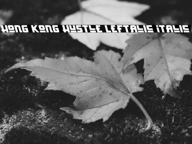 Hong Kong Hustle Leftalic Italic Font examples