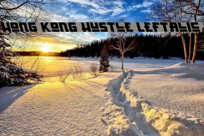 Hong Kong Hustle Leftalic Font examples